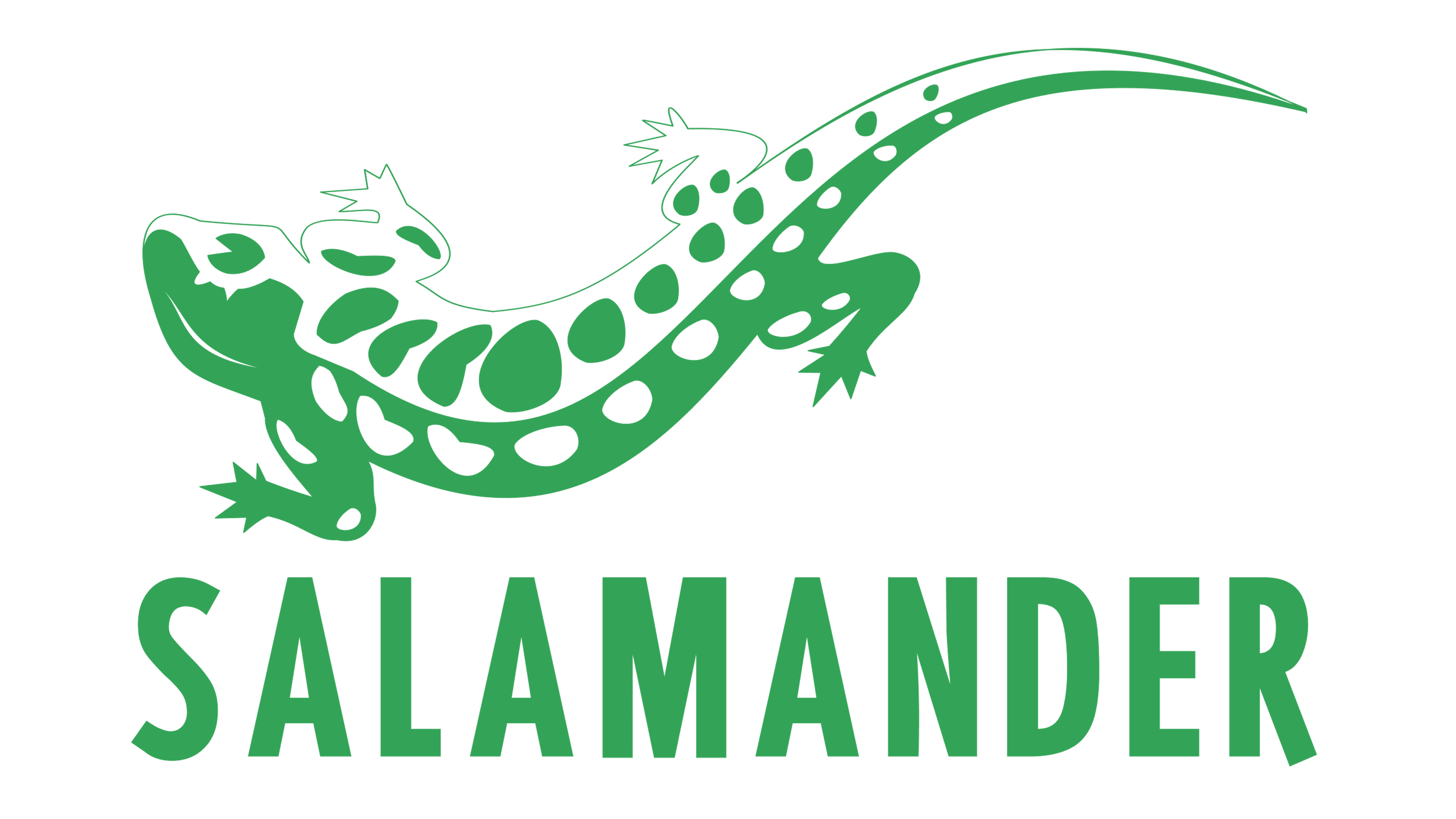 Brnad Logo